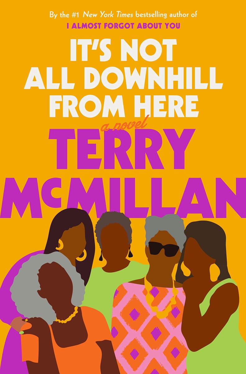 It's Not All Downhill From Here by Terry McMillan