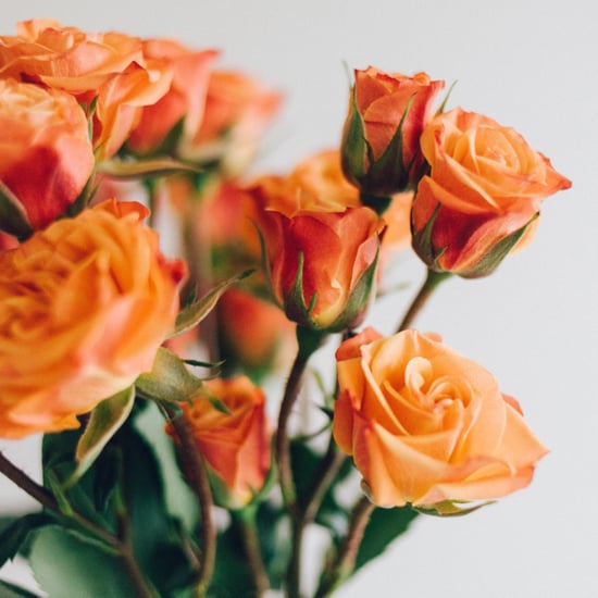 Dozen Roses on Amazon