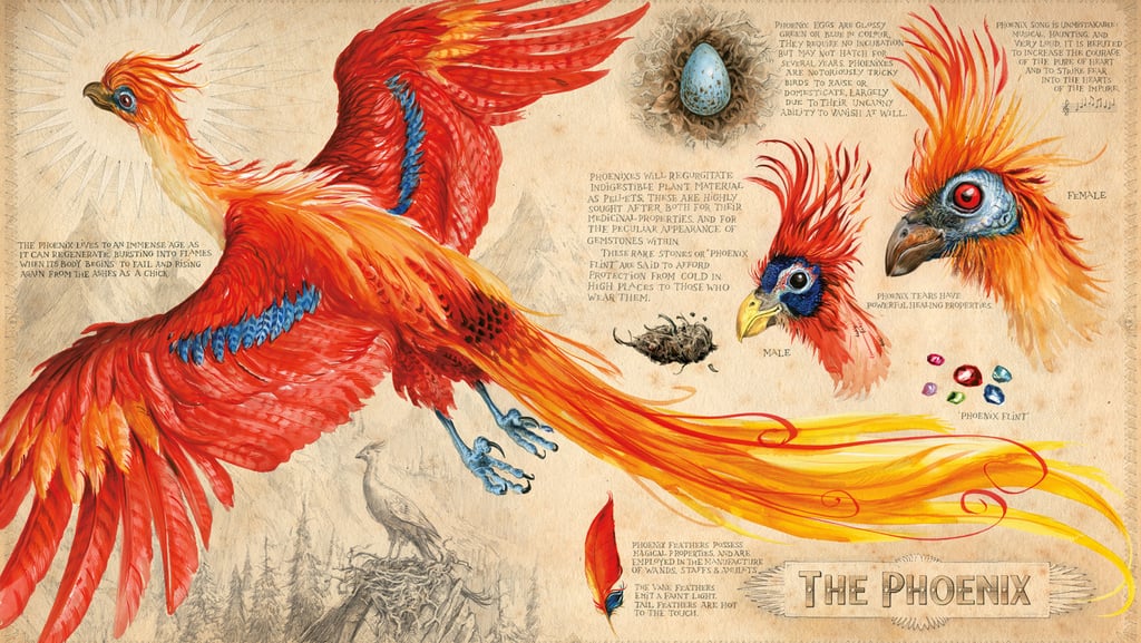 Harry Potter and the Chamber of Secrets Illustrated Cover