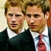 Prince William and Prince Harry Hotness Poll