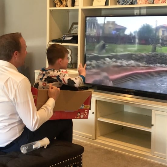Family Recreates Disneyland's Splash Mountain in Living Room