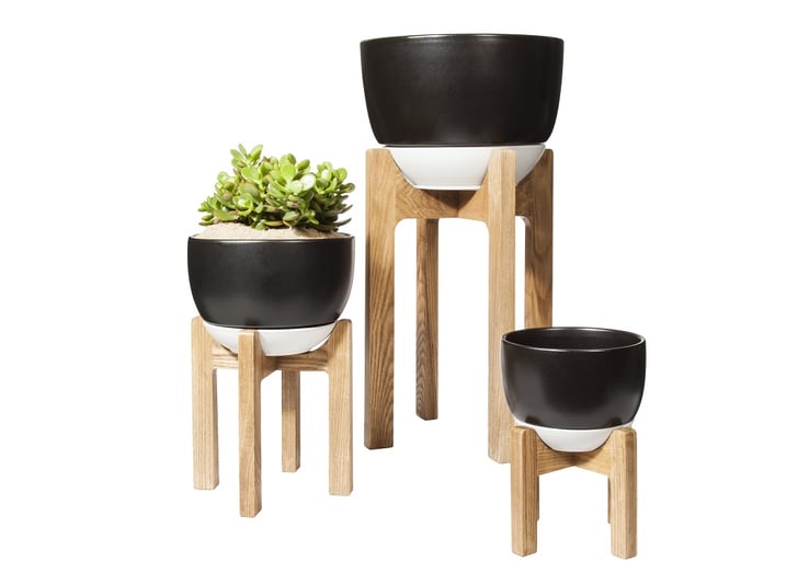 Base planters (25 to 80). Target Releases Threshold Spring Summer