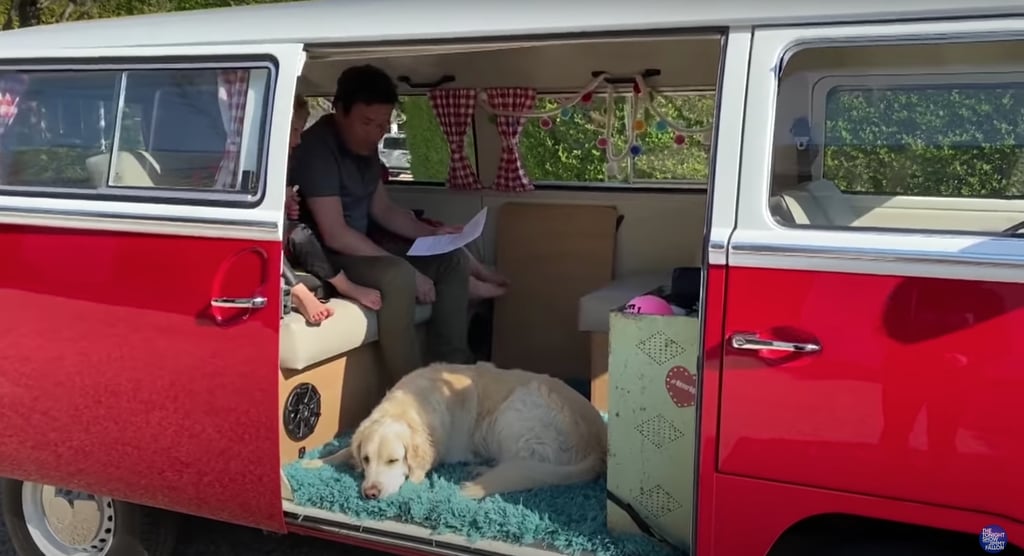 The Fallon family's dog, Gary, likes to hang out inside with them.