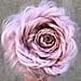 Braided Rose Hairstyle Tutorial and Inspiration