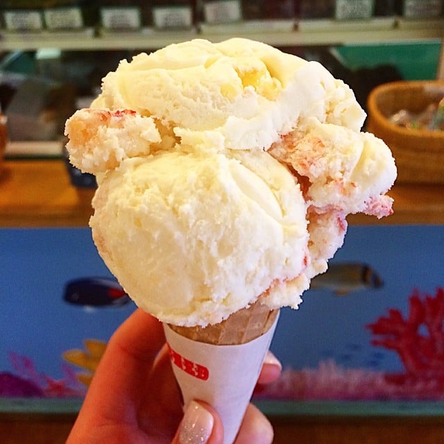 Maine Ben & Bill's Chocolate Emporium The Best Ice Cream Shops in