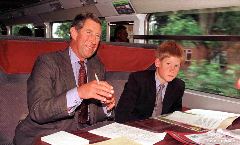 Prince Harry and Prince Charles Pictures