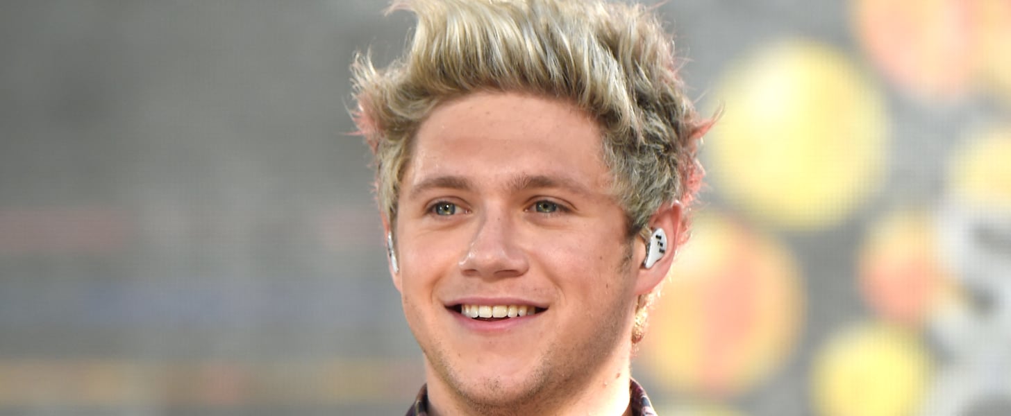 Niall Horan With Brown Hair | Winter 2016 | POPSUGAR Beauty