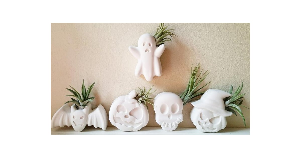 Spooky Air Plant Holders These Planters From Etsy Are the Perfect