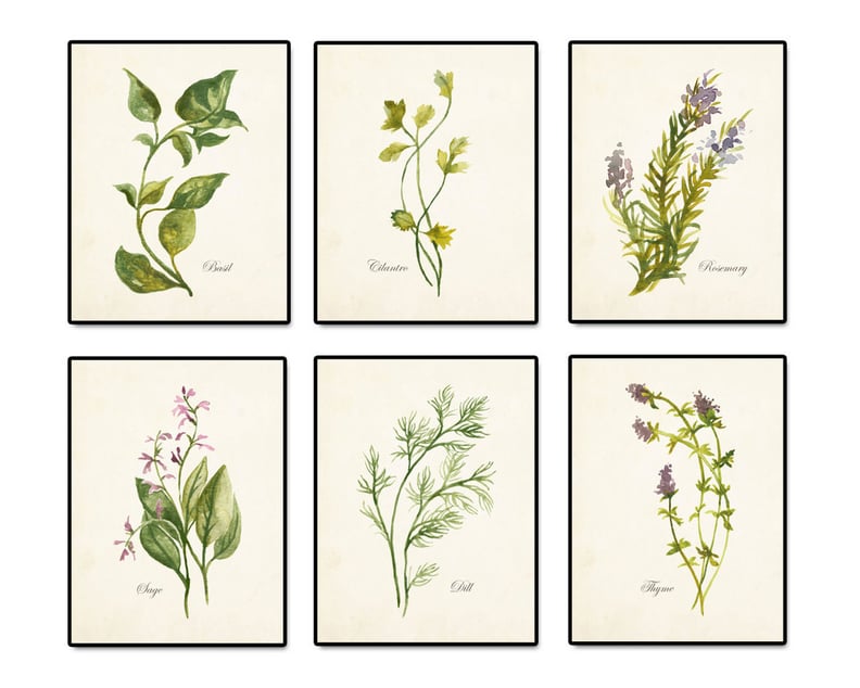 Watercolor Herbs Print Set No. 2 Botanical Print Giclee Art