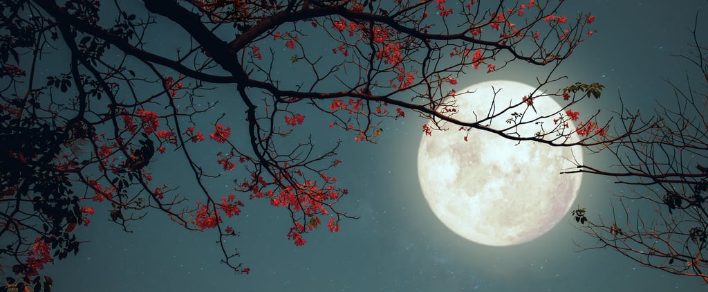This Full-Moon-in-Aquarius Limpia Will Help Shine Your Light