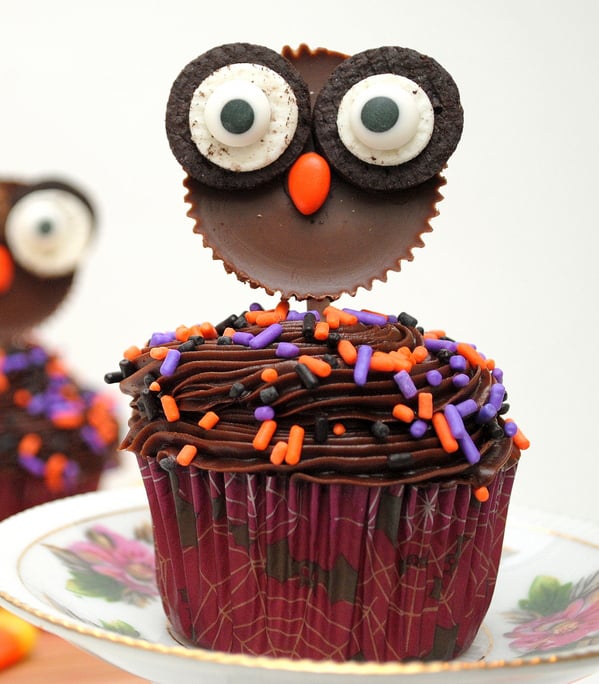 Owl Cupcake