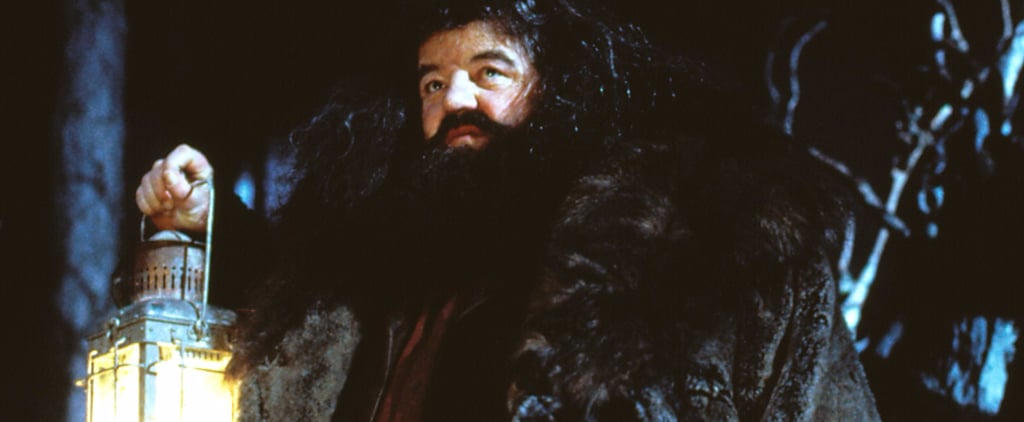 Newt Scamander and Hagrid Theory
