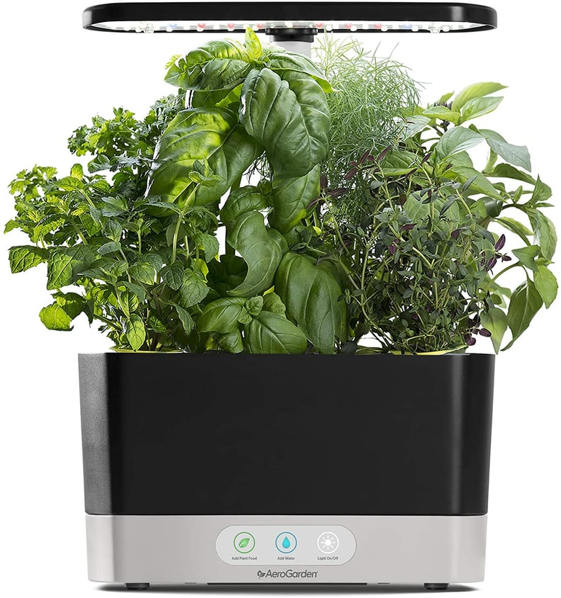 For the Green Thumbs: AeroGarden Harvest-Black Indoor Hydroponic Garden