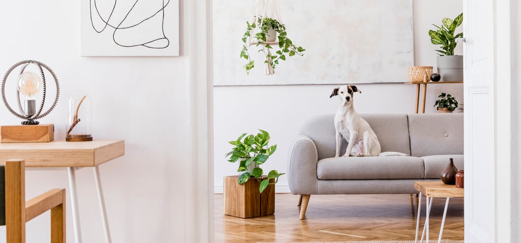 How to Turn Spring Cleaning Into Self-Care