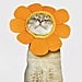 The Best Halloween Costumes For Pets
