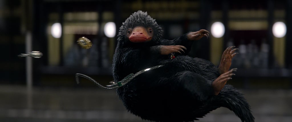 Fantastic Beasts and Where to Find Them Pictures