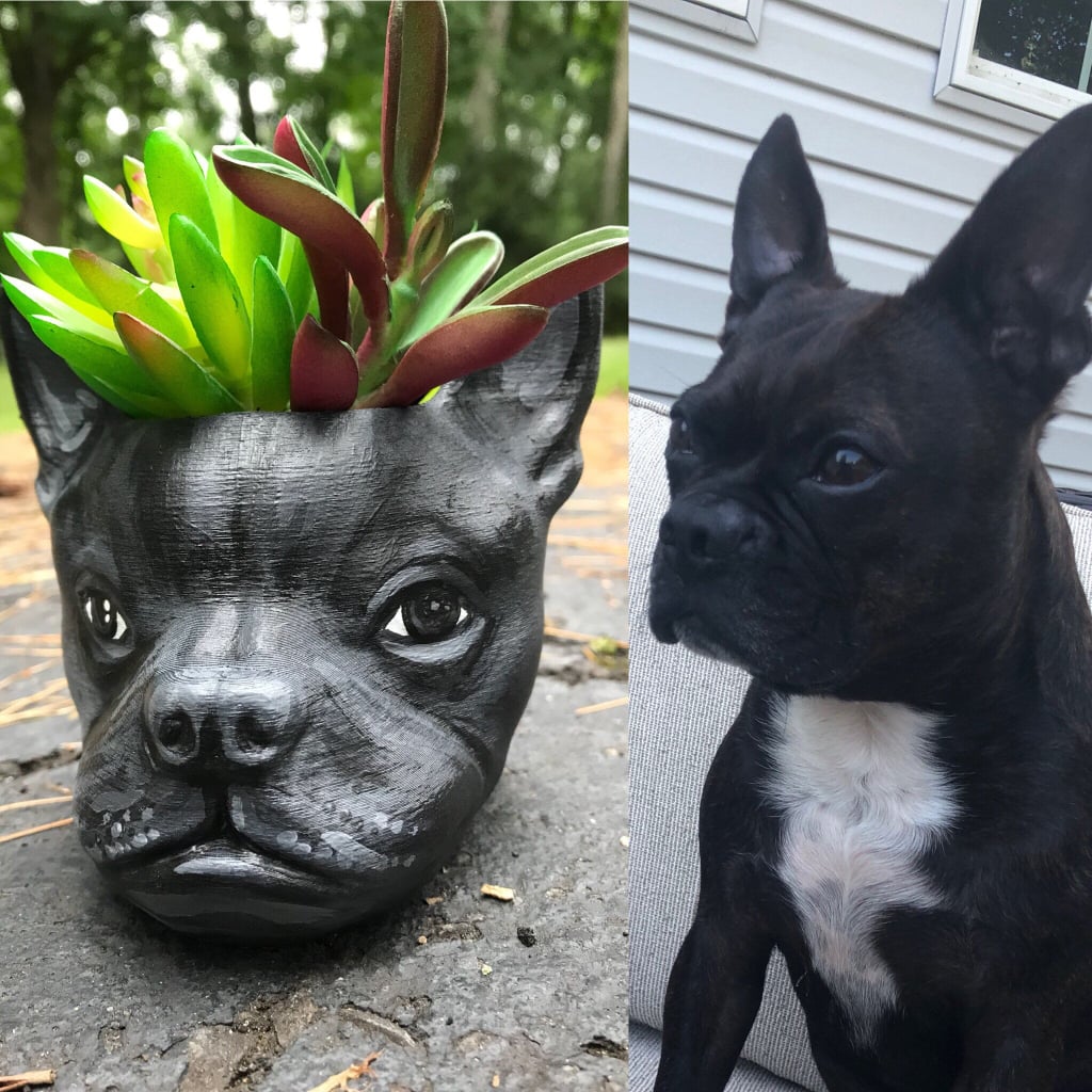 Get a Custom Painted Planter With Your Dog's Face on Etsy