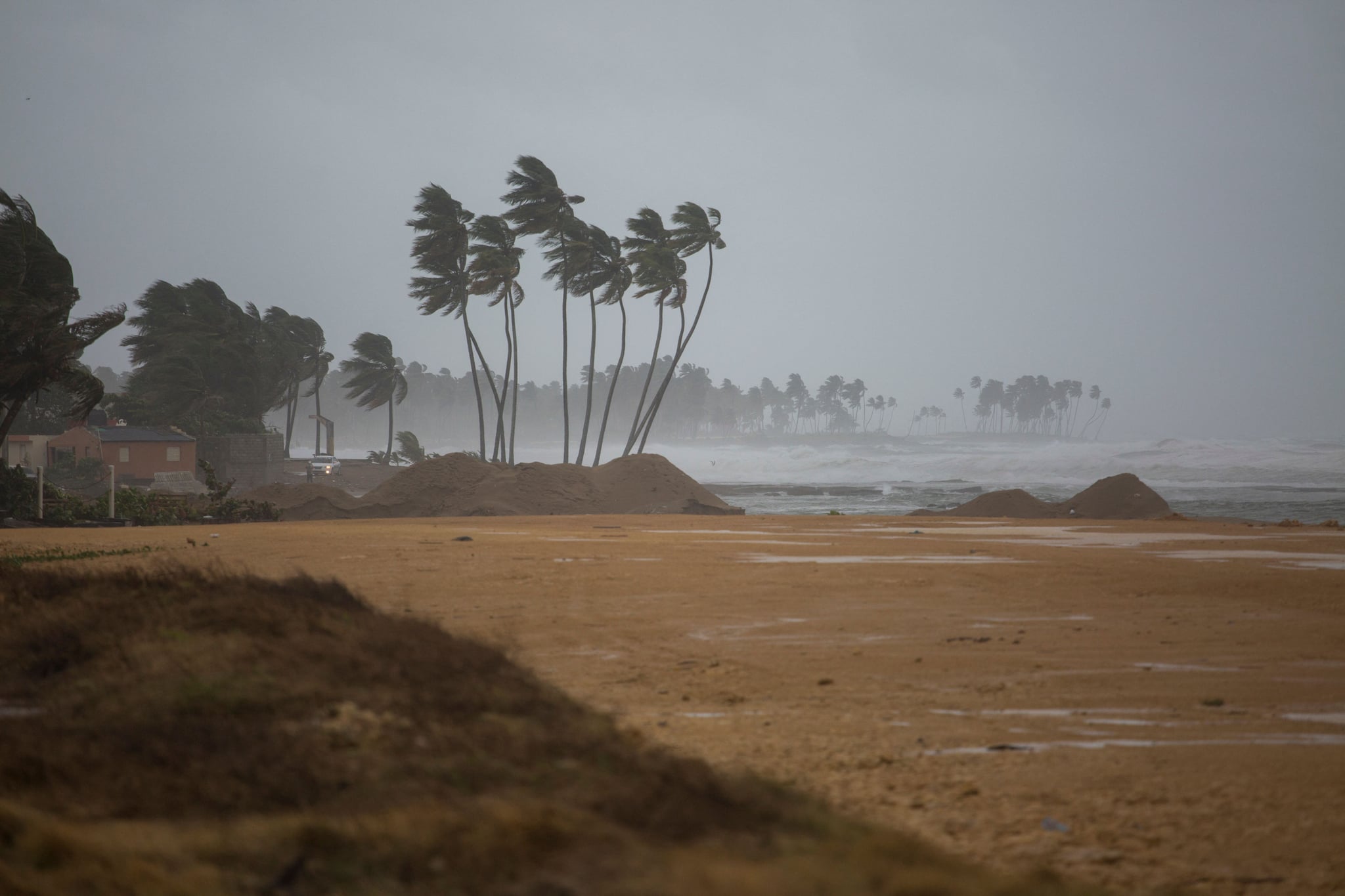 棕榈树在风中吹Nagua,多米尼加共和国,2022年9月19日,在霏欧纳飓风的通道。沿着海岸——菲奥娜飓风登陆的多米尼加共和国周一,美国国家飓风中心说,暴风雨过后,撕裂了波多黎各。(图片由Erika SANTELICES /法新社)(图片由Erika SANTELICES /法新社/法新社通过盖蒂图片社)