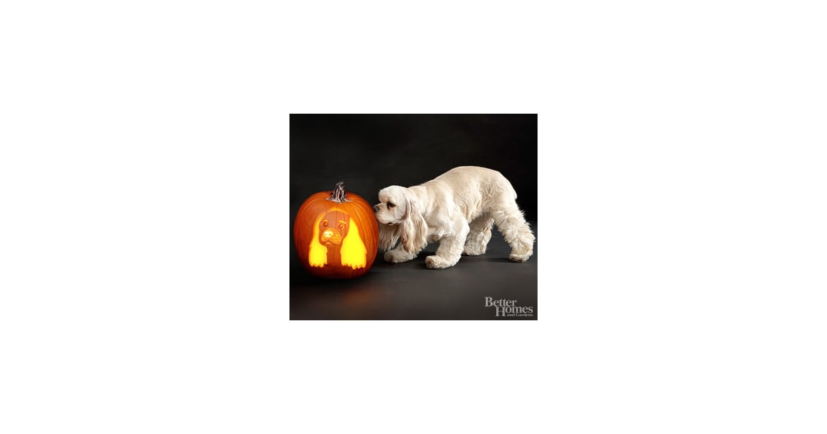 Cocker Spaniel Downloadable Dog Breed Pumpkin Stencils POPSUGAR cocker-spaniel-downloadable-dog-breed-pumpkin-stencils-popsugar