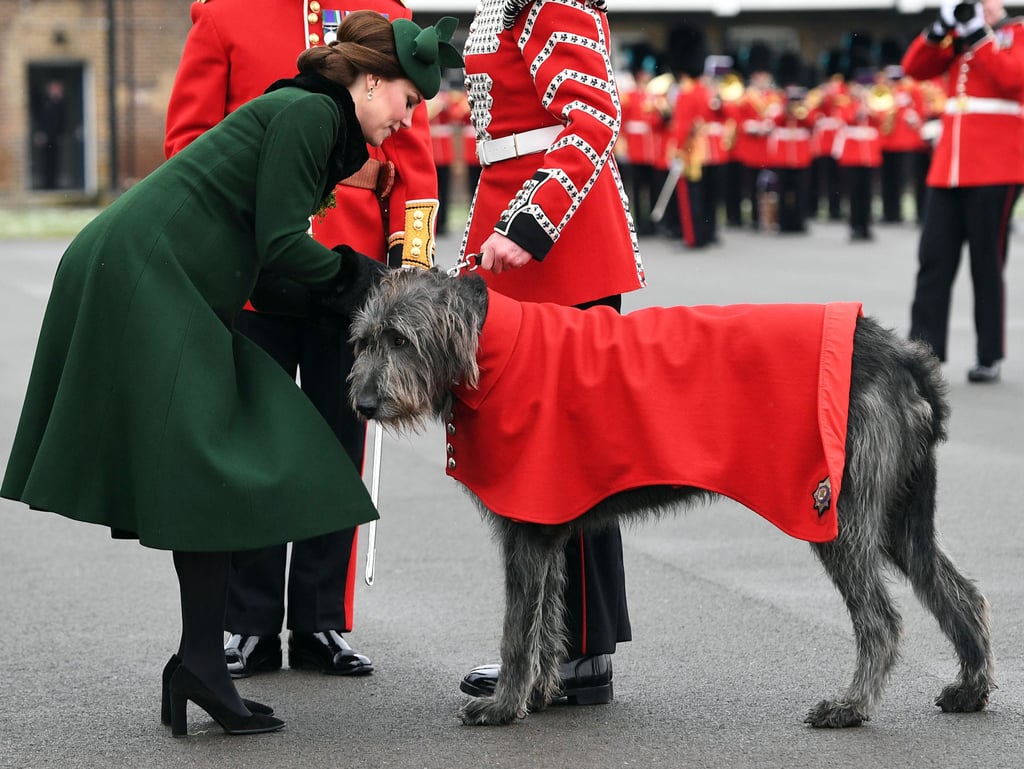 Kate Petted This Adorable Dog