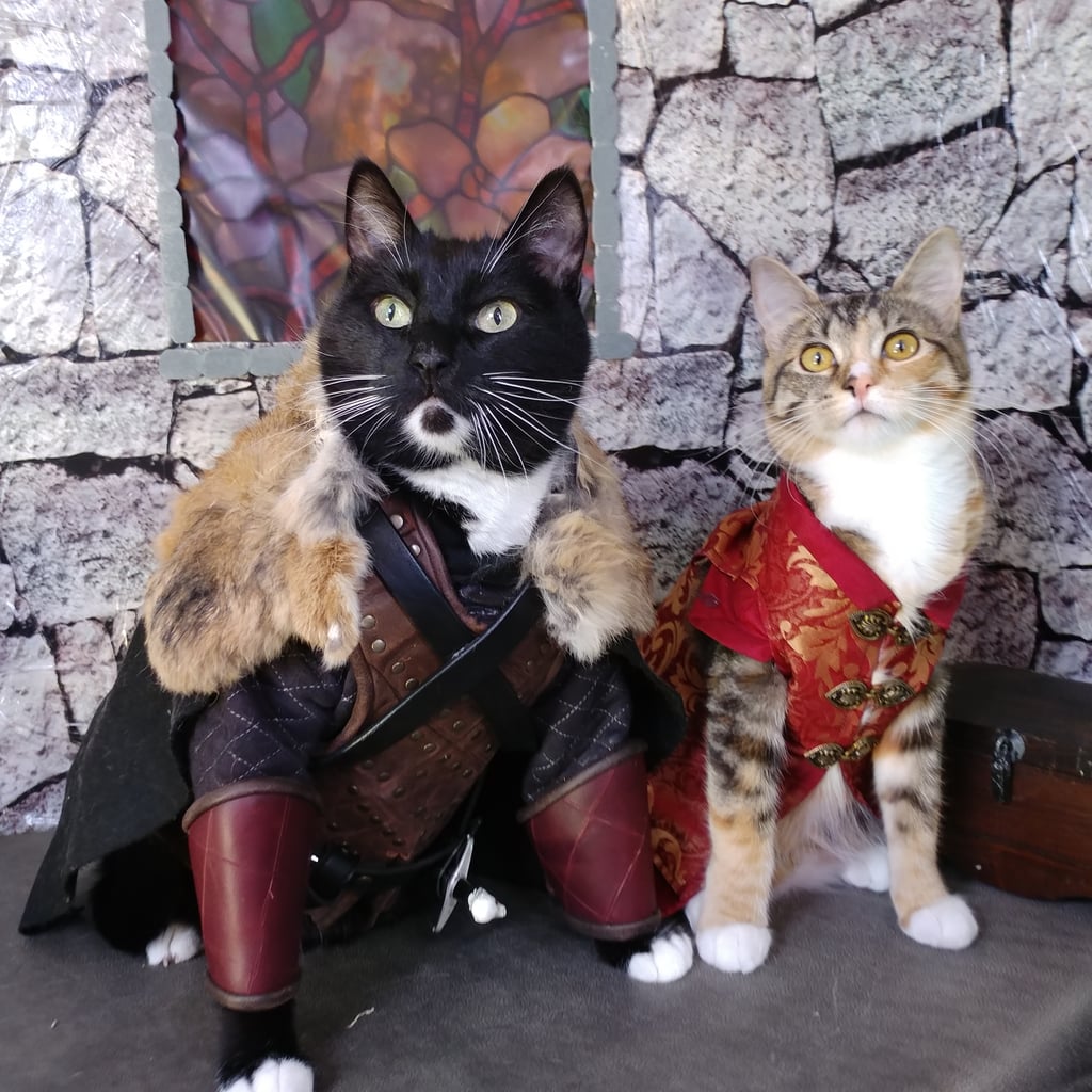 Cats Cosplaying As Famous Tv And Movie Characters Photos