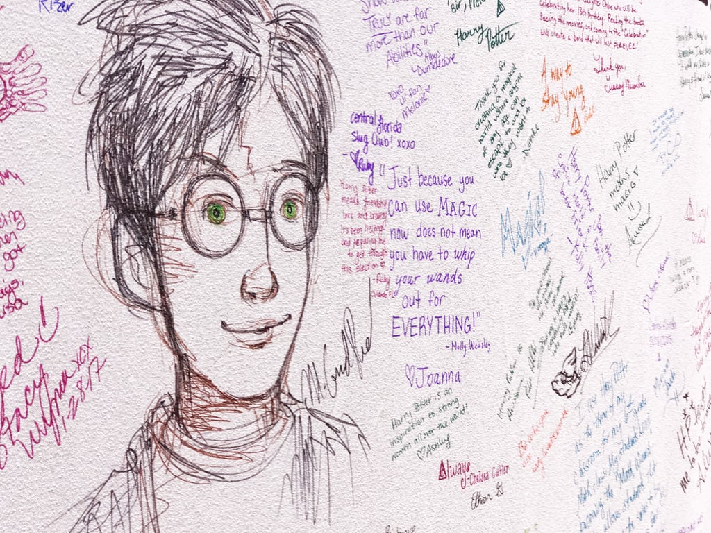 What Harry Potter Means to Fans