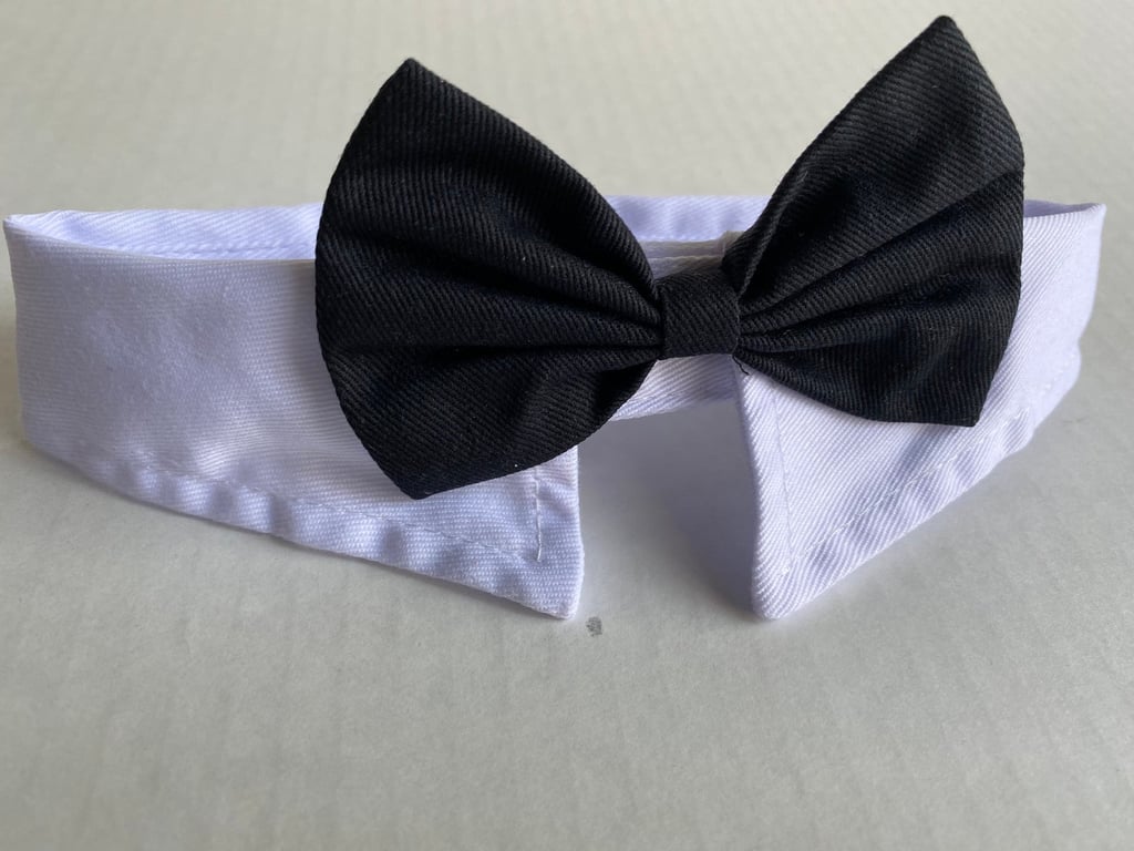 Tuxedo Collar With Bow Tie Dog or Cat Accessory Cat Tuxedo Halloween