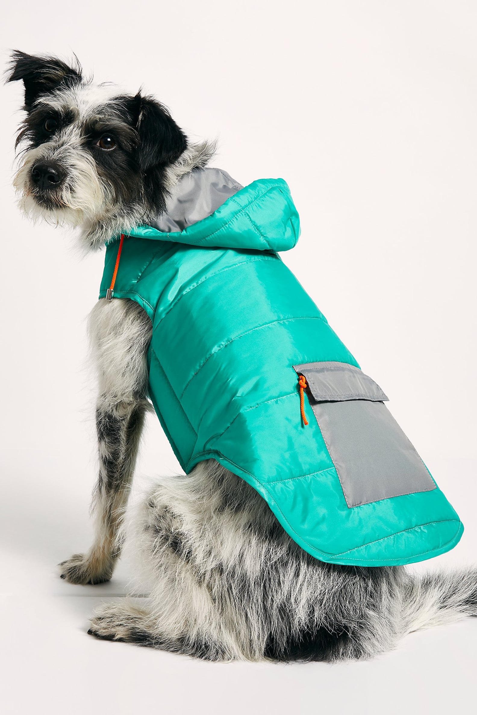 Best Dog Coats and Jackets | 2020 | POPSUGAR Pets