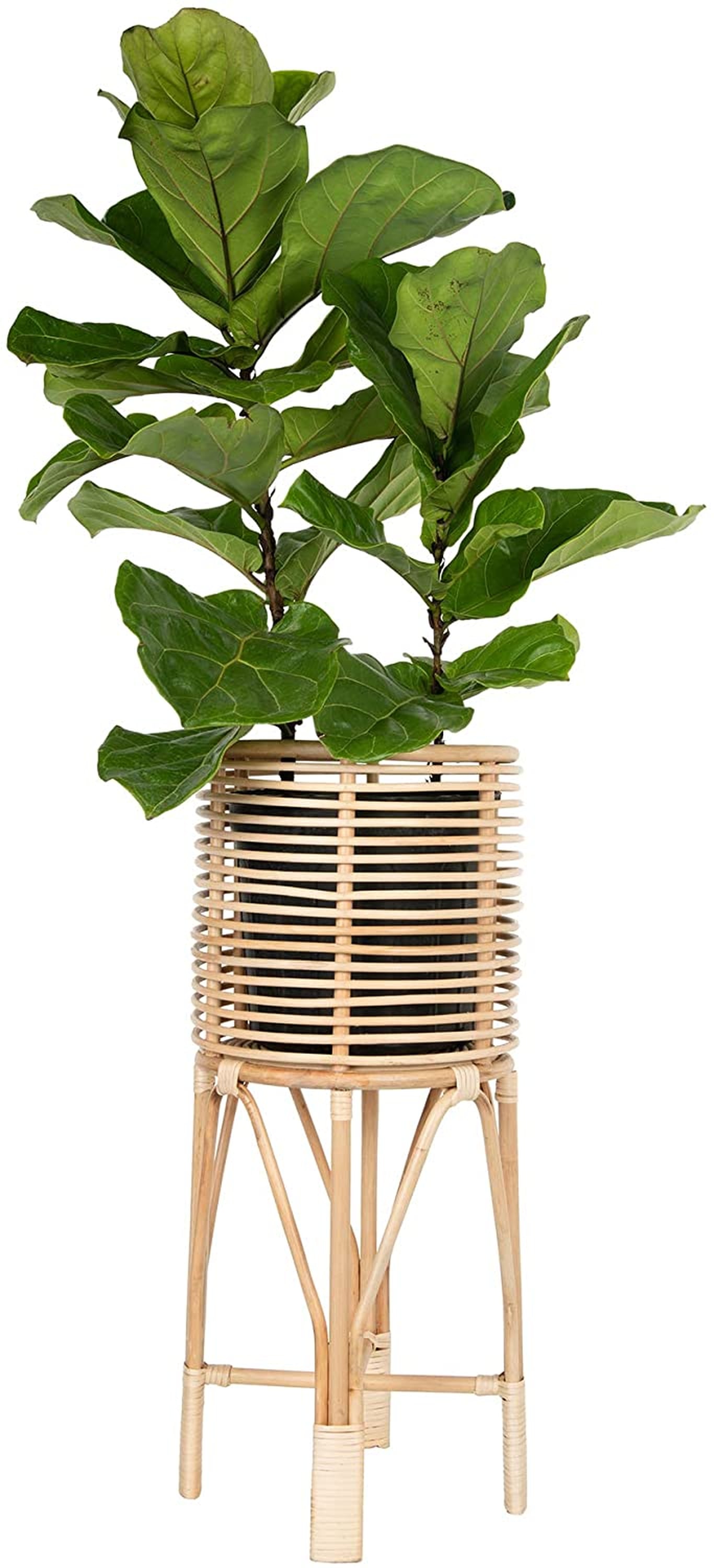 Rattan Plant Stands POPSUGAR Home