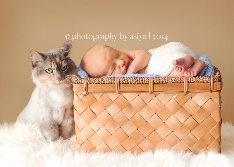 Adorable Newborn and Pet Photos