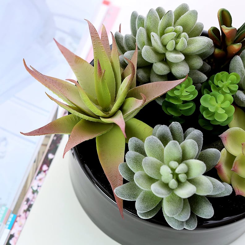 A Faux Arrangement: MyGift Artificial Succulents in Black Glazed Round Ceramic Pot