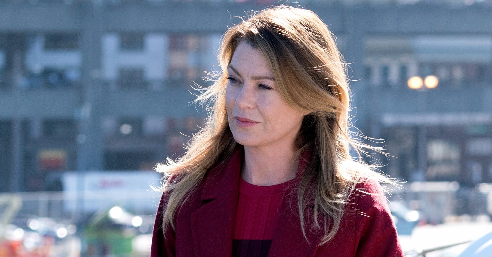 What Does Grey's Anatomy Mean? POPSUGAR Entertainment