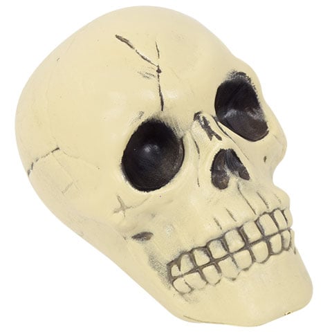 Plastic Halloween Skulls