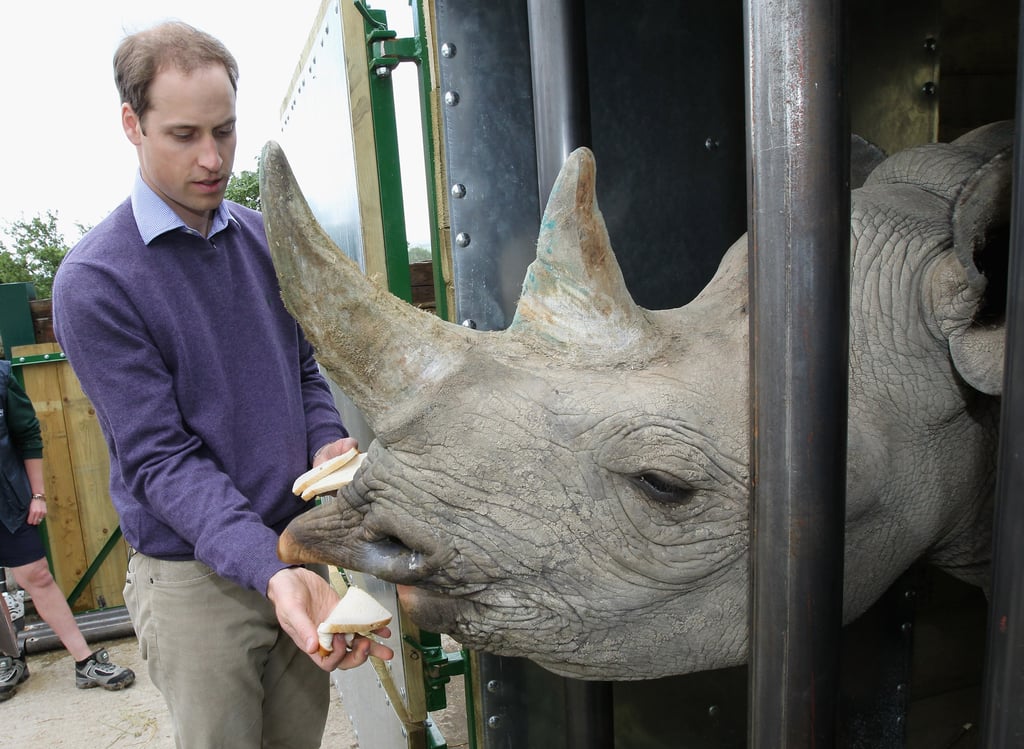 Prince William met Zawadi the rhino before it was released back into the wild in June 2012.
