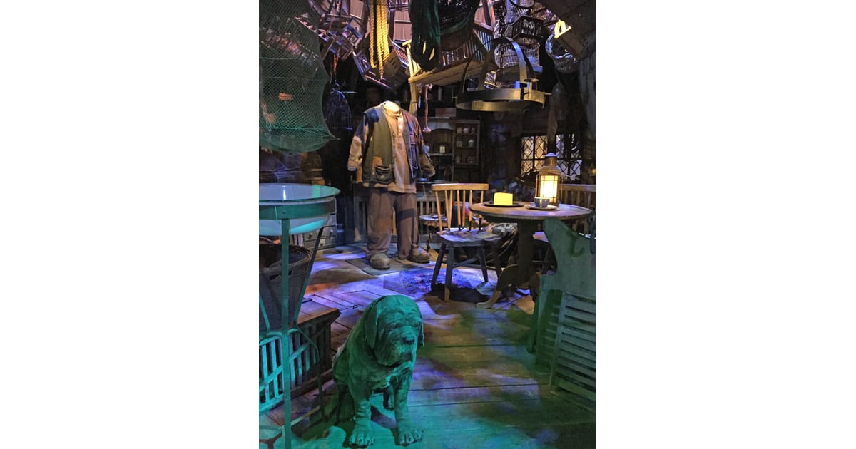 hagrid's hut and fang pop