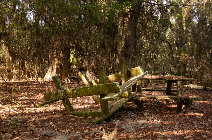 abandoned disney park