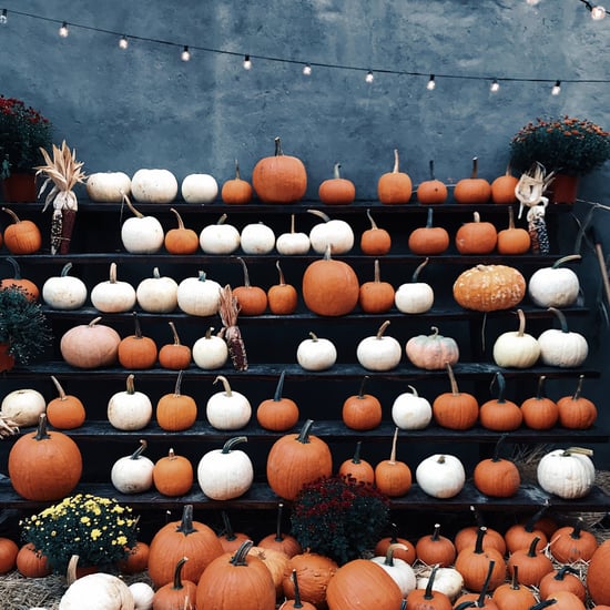 Best Fall Festivals in the United States