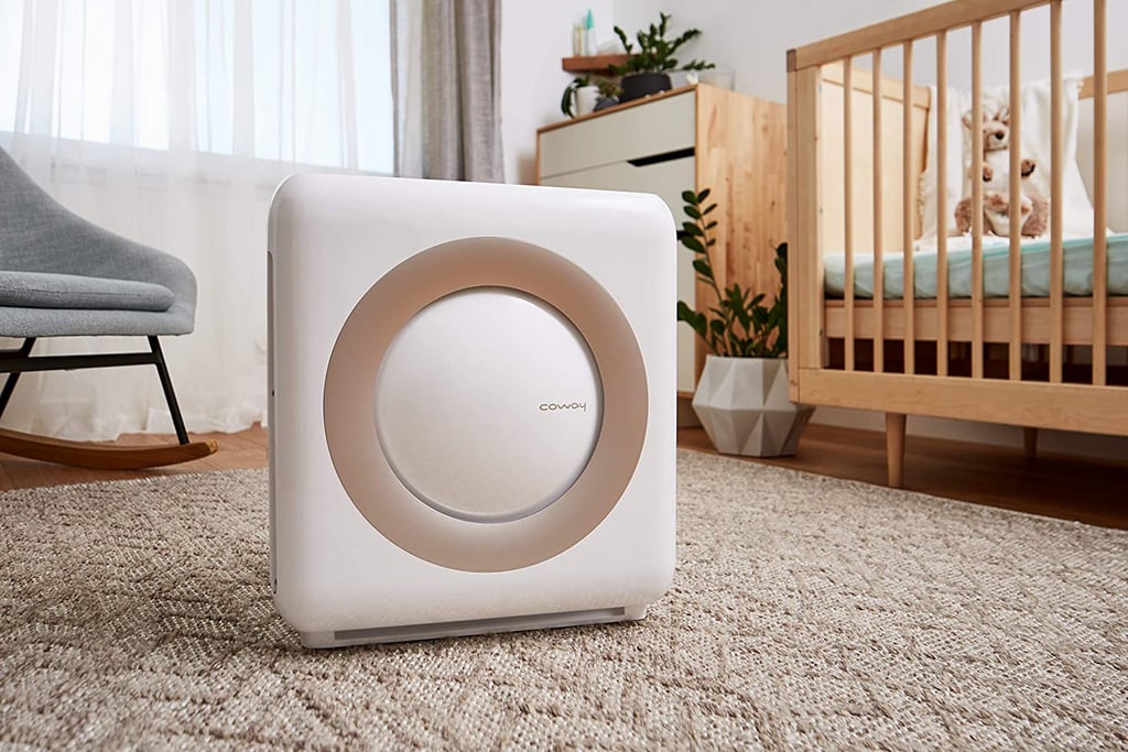A Stylish Air Purifier: Coway Mighty Air Purifier
