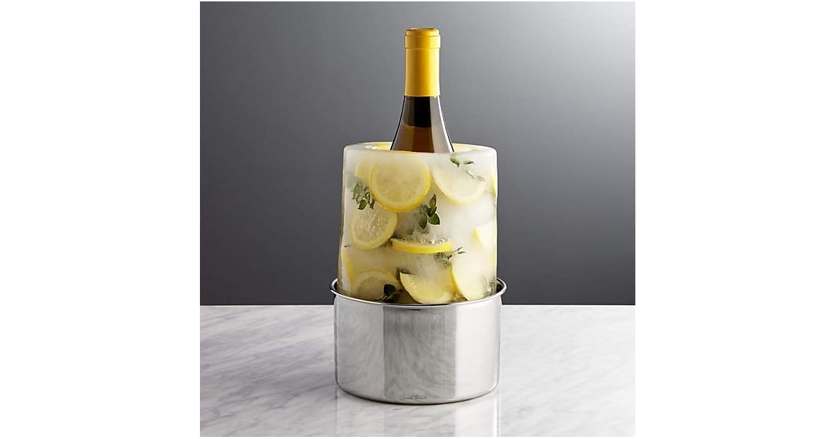 Crate & Barrel Ice Mold/Wine Bottle Chiller Thoughtful Gifts Ideas