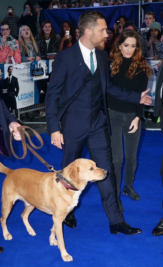 Tom Hardy's Dog at Legend Premiere