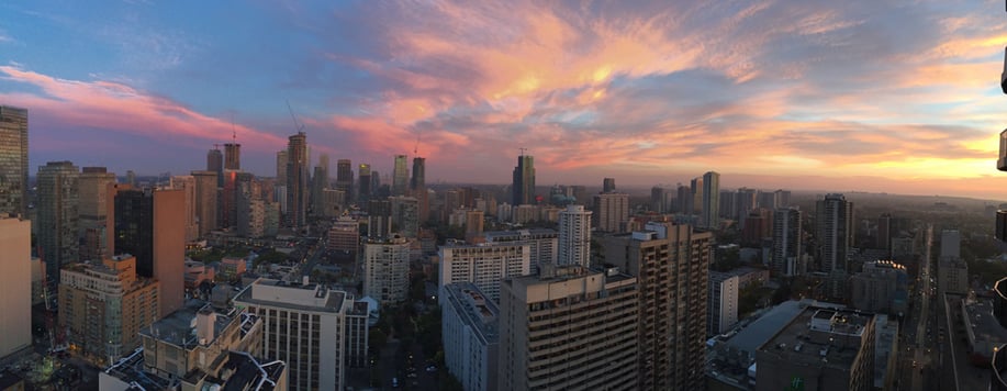 "Vivid colors from the natural world can help soften the hard lines of manmade structures like the buildings in this skyline."