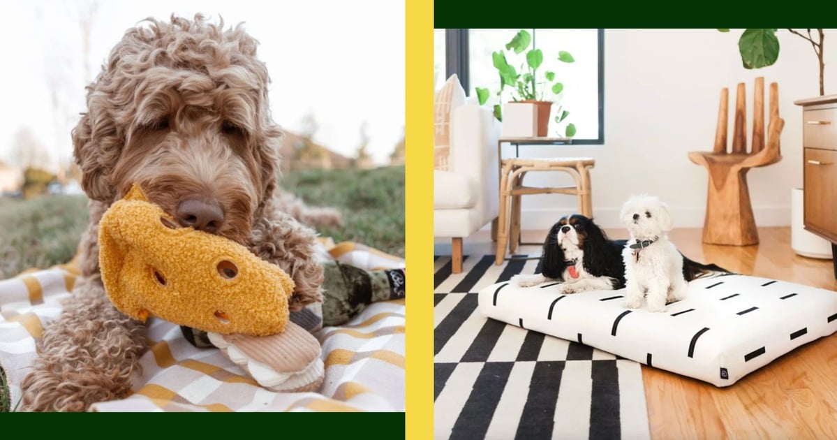 The Curated Canine: Elevated Gifts for the Modern Dog Parent