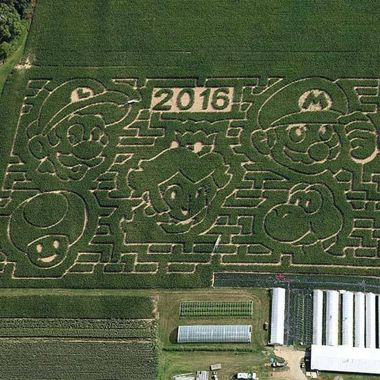 New York Super Mario Brothers Corn Maze
