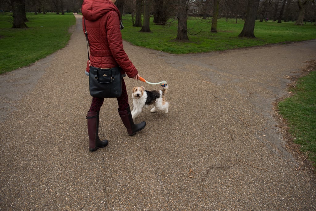 In Torino, Italy, dog owners must take their dogs on walks three times a day.
You may not threaten someone with an unloaded gun in Texas.
Men who cross-dress in Australia may only do so if the dresses are not strapless.
No one is allowed to carry a plank on a sidewalk in England.
If you're in Scotland and someone knocks on your door asking to use the bathroom, you must let them in.