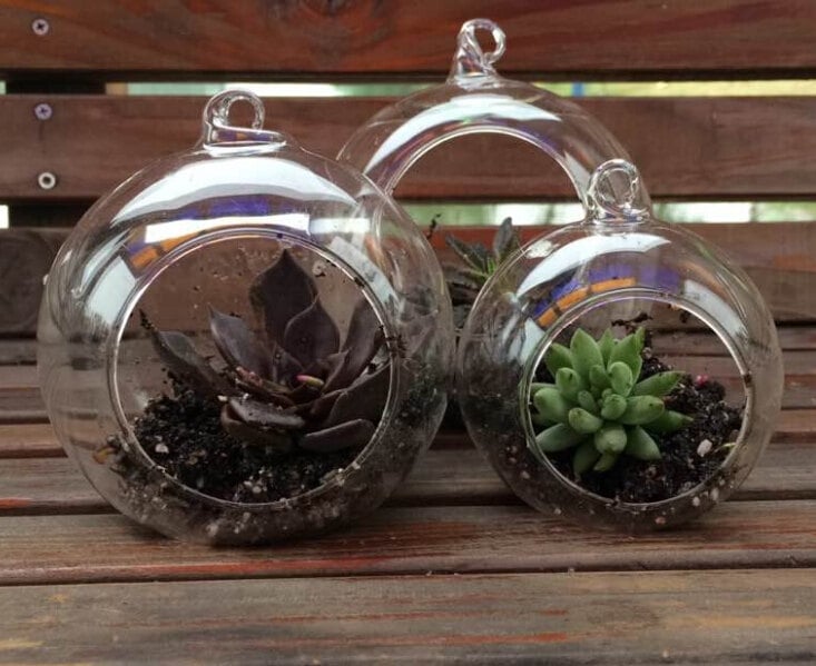 Teardrop Pendant Terrarium Container