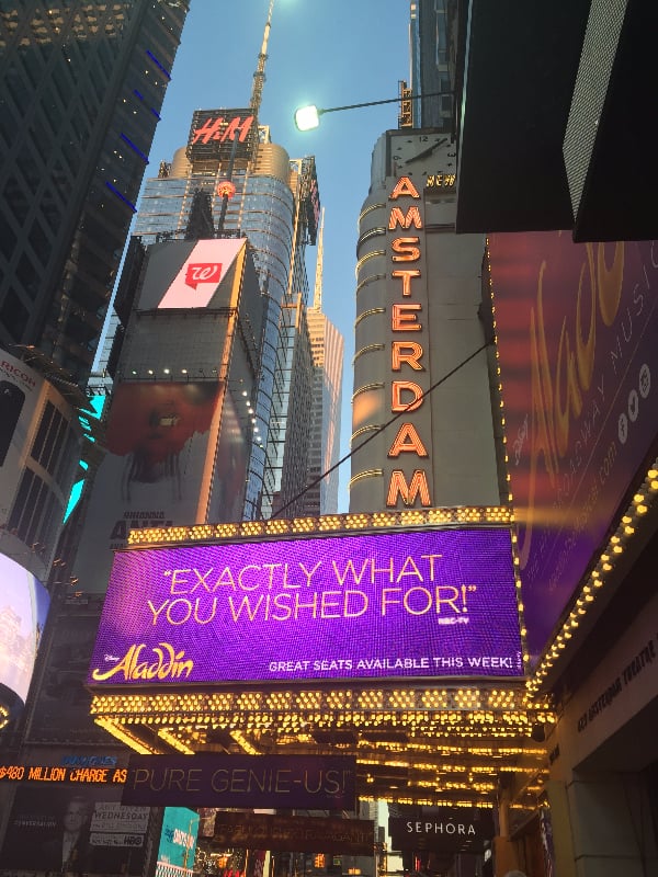 A Bronx Tale

Where: Longacre Theatre — 220 W. 48th St.
Lottery: No known lottery for this show yet.
Rush tickets: Limited rush tickets may be available for $39 at the box office on the day of the show.
What you need to know: This new musical is directed by Robert De Niro and features a doo-wop score!
More about the show

Aladdin

Where: New Amsterdam Theatre — 212 W. 42nd St.
Lottery: Win $30 lottery tickets by entering here.
Rush tickets: No rush for this show.
What you need to know: The animals you know and love from Disney's movie version of this story won't be found in the stage show. The parrot Iago was turned into a court jester, and Aladdin's and Jasmine's sidekicks, Abu and Rajah, have been replaced by human companions instead. 
More about the show

Amélie

Where: Walter Kerr Theatre — 219 W. 48th St.
Lottery: Win $45 lottery tickets by entering here. 
Rush tickets: Limited rush tickets may be available for $39.50 at the box office on the day of the show.
What you need to know: This musical that just opened stars Phillipa Soo, who is best known for her role as Elizabeth Schuyler in the original Hamilton cast. 
More about the show

Beautiful: The Carole King Musical

Where: Stephen Sondheim Theatre — 124 W. 43rd St.
Lottery: There's no lottery for this show.
Rush tickets: Limited rush tickets are available for $40 at the box office on the day of the show.
What you need to know: This musical tells of Carole King's life, starting before she was the well-known performer, and includes many songs you know and love.
More about the show