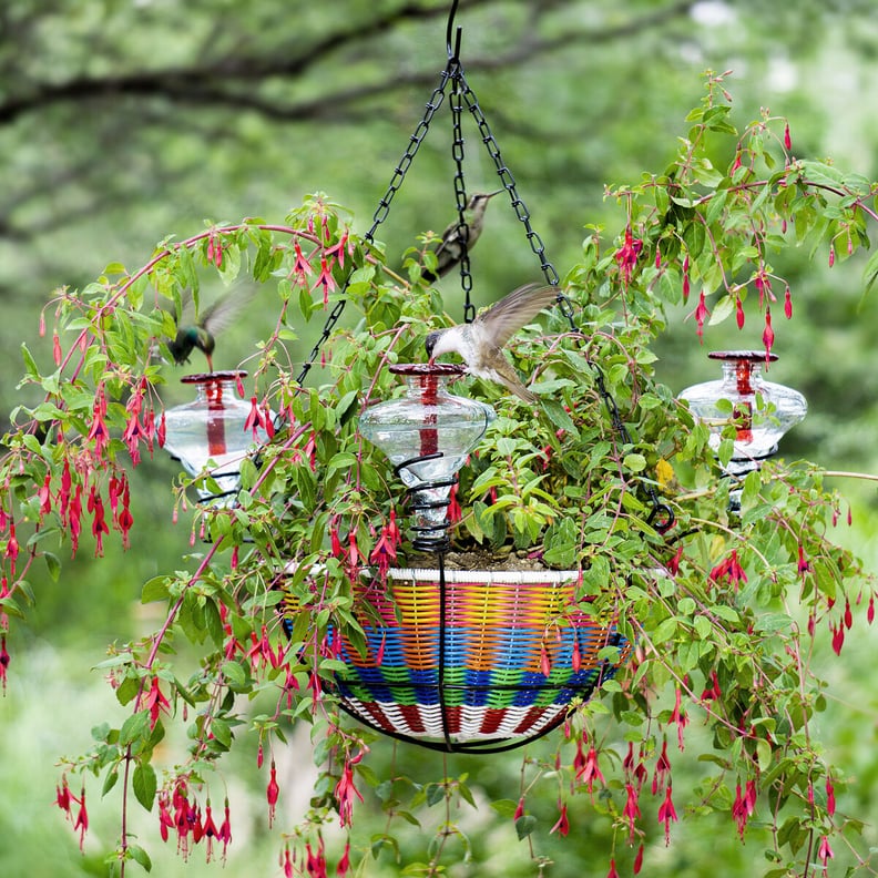 Hanging Basket Hummingbird Feeder