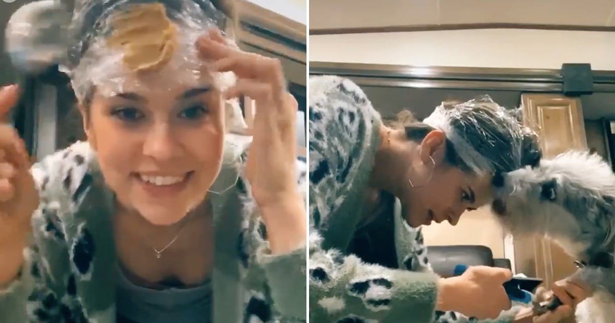 Woman With Peanut Butter on Her Head Clips Dog's Nails Video POPSUGAR
