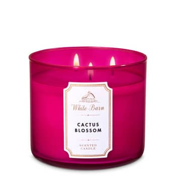 Bath and Body Works Cactus Blossom Body Care