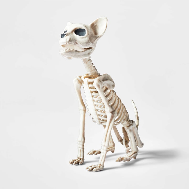 Small Sitting Kitten Skeleton